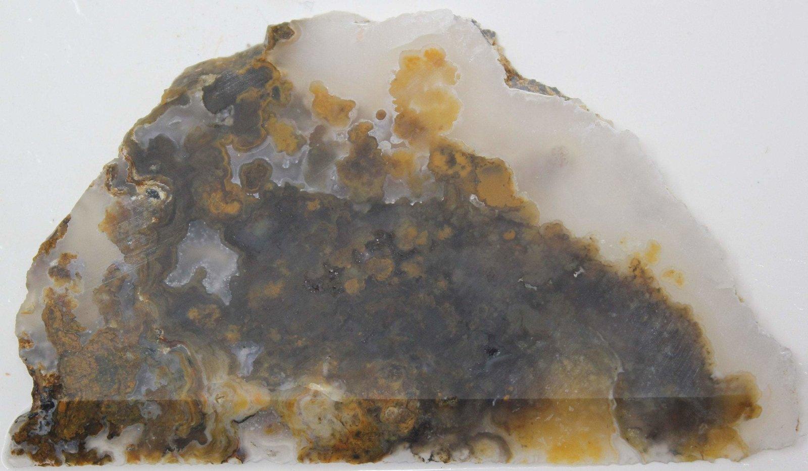 Jumpin' Jeep Plume Agate FANTASTIC OLD STOCK Slab! - LapidaryCentral