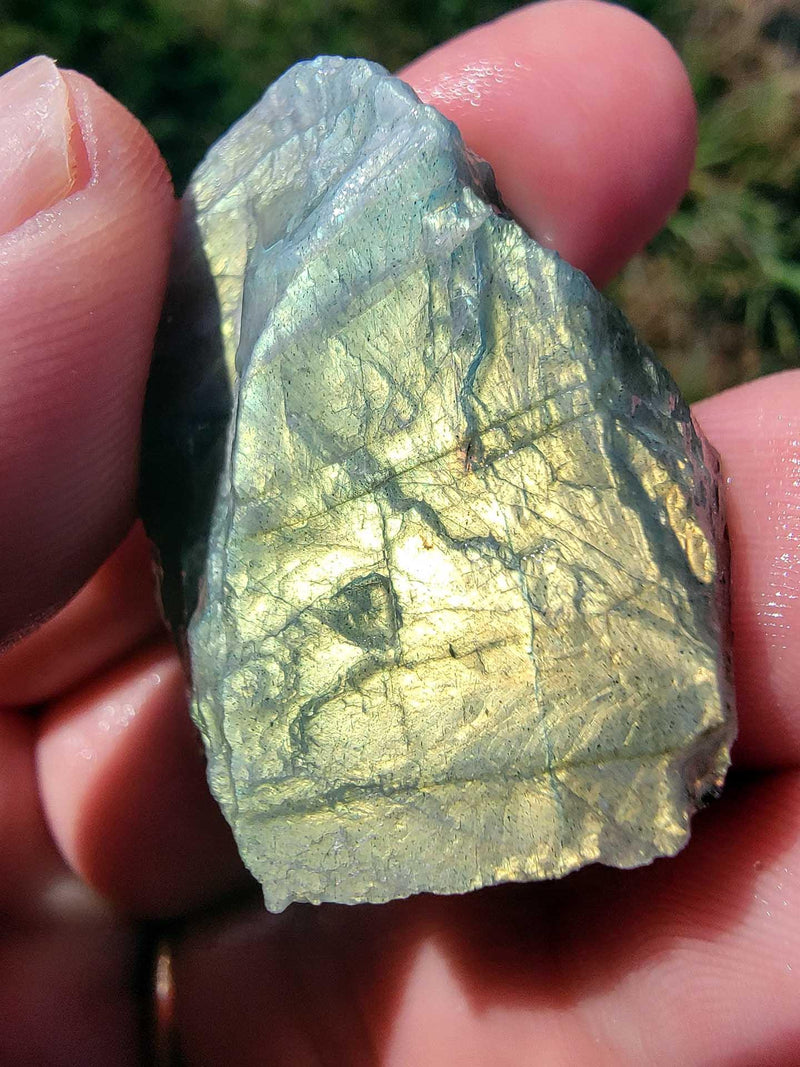One Pound Random Pull Madagascar Spectrolite Sized Labradorite Rough! - LapidaryCentral