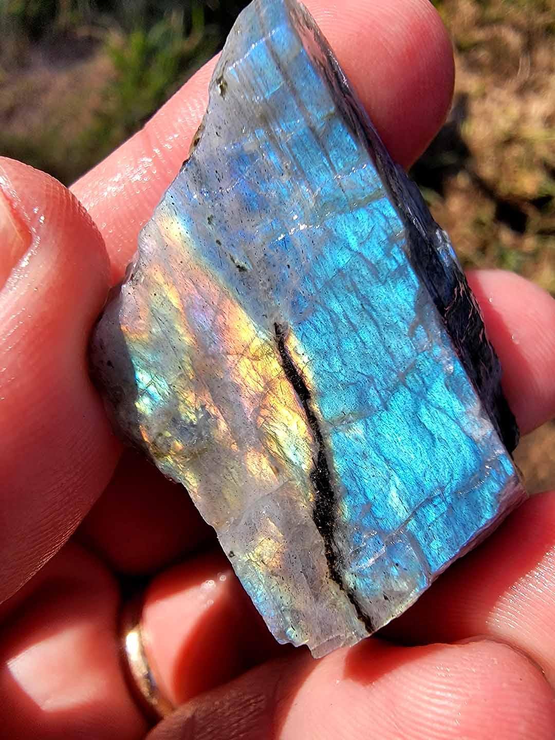 Madagascar Spectralite popular / Labradorite Freeform ESpec269