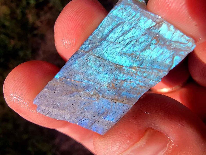 One Pound Random Pull Madagascar Spectrolite Sized Labradorite Rough! - LapidaryCentral