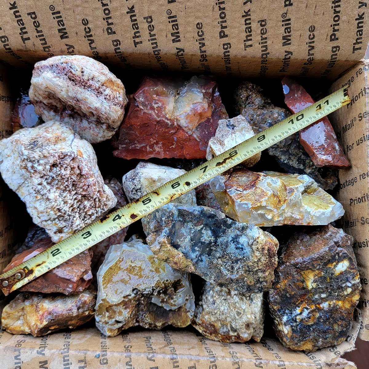 OLD STOCK Mix Oregon and Idaho Plume Agate, Moss Agate, and Jasper! - LapidaryCentral