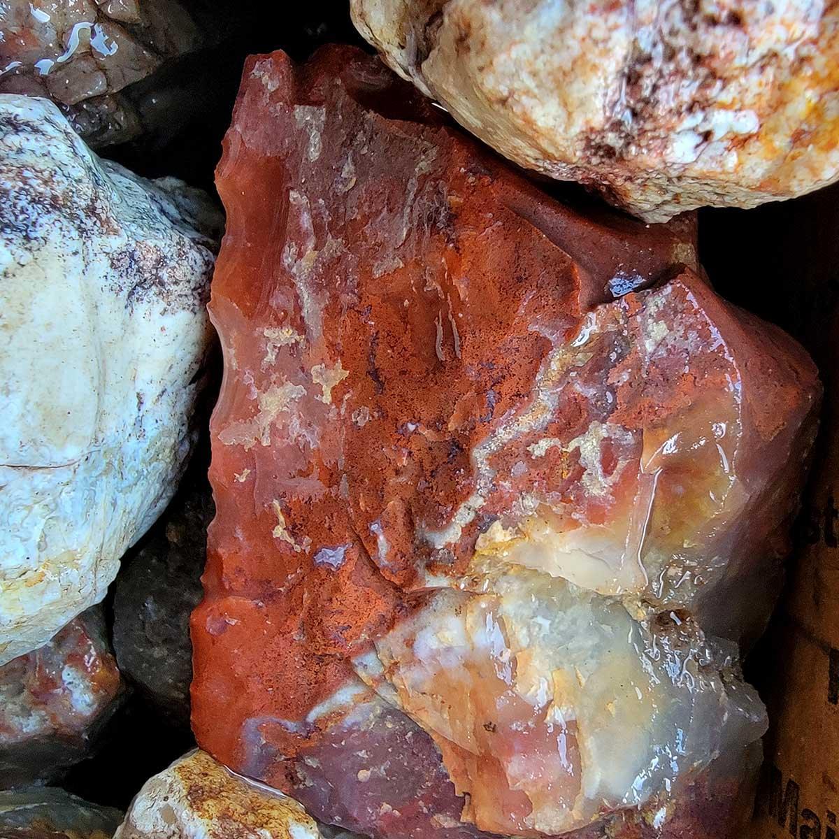 OLD STOCK Mix Oregon and Idaho Plume Agate, Moss Agate, and Jasper! - LapidaryCentral