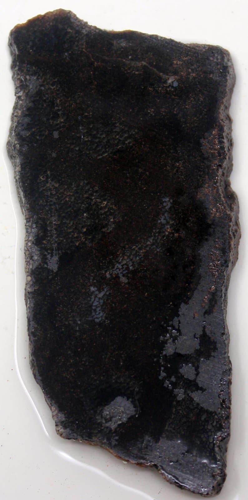 Gem Dinosaur Bone Slab!  Fossil Lapidary Stone Slab! - LapidaryCentral