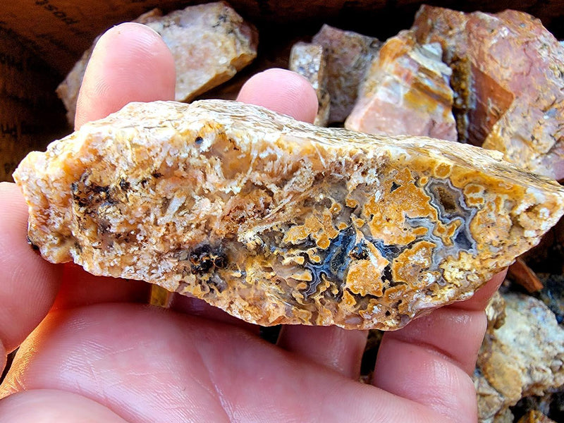 Eagle Rock Plume Agate Tumbler Trimmer Flatrate Highgrade! - LapidaryCentral