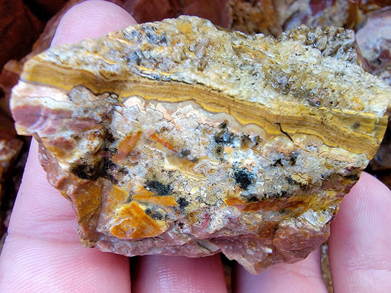 Eagle Rock Plume Agate Tumbler Trimmer Flatrate Highgrade! - LapidaryCentral