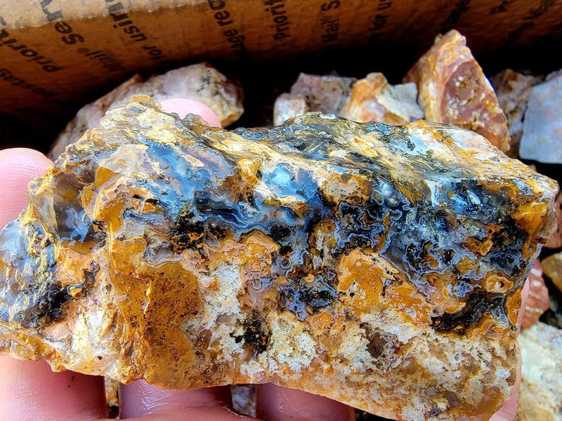 Eagle Rock Plume Agate Tumbler Trimmer Flatrate Highgrade! - LapidaryCentral