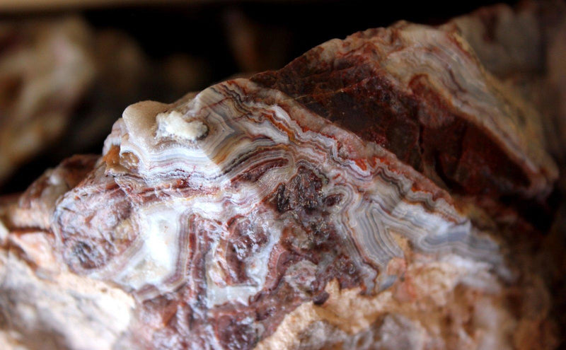Laguna Lace Agate Highgrade Cutting Rough Flatrate! - LapidaryCentral