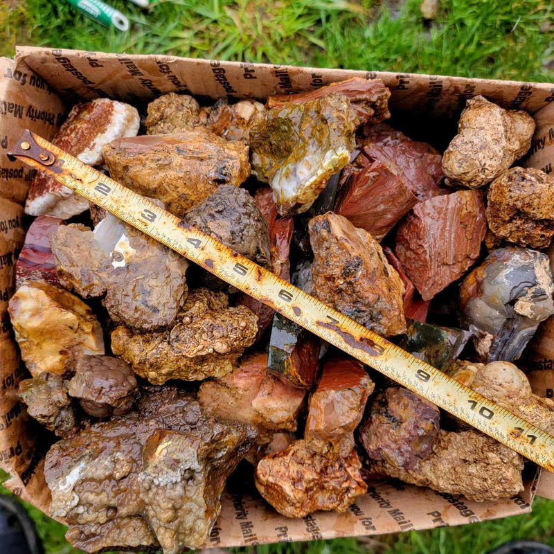 Discount Mix Lapidary Tumbling Trimmer Rough Flatrate!  Agate and Jasper! - LapidaryCentral