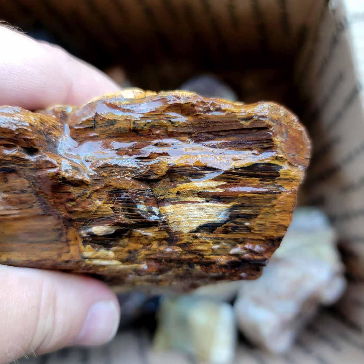 Discount Mix Lapidary Cutting Rough Flatrate! Agate and Jasper! - Lapidary Central