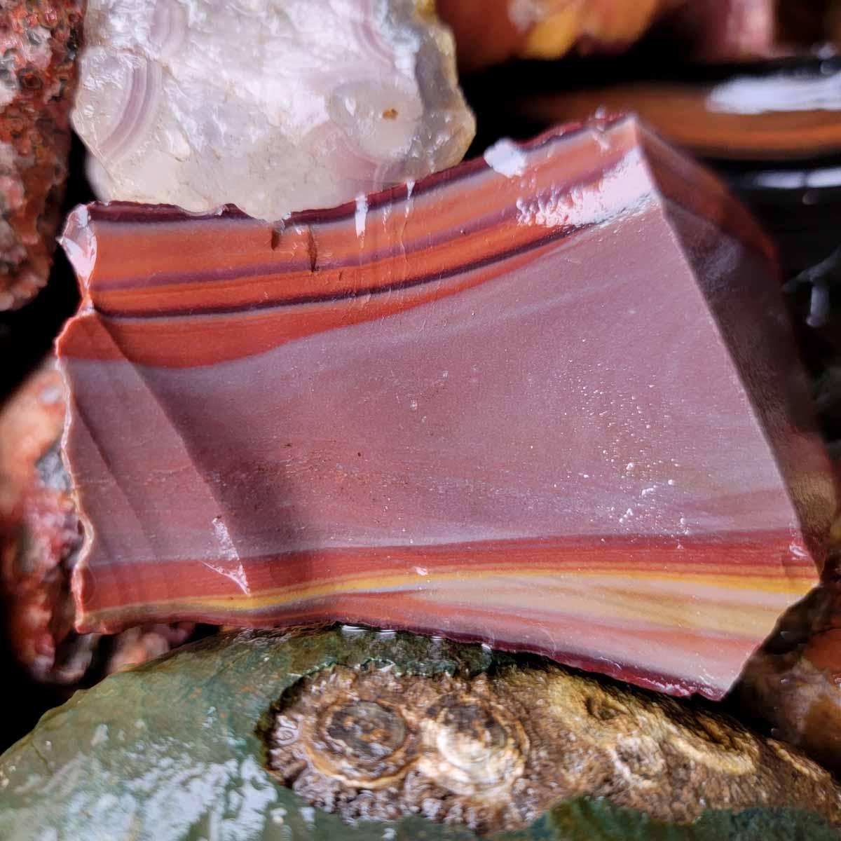 Discount Mix Lapidary Cutting Rough Flatrate! Agate and Jasper! - Lapidary Central