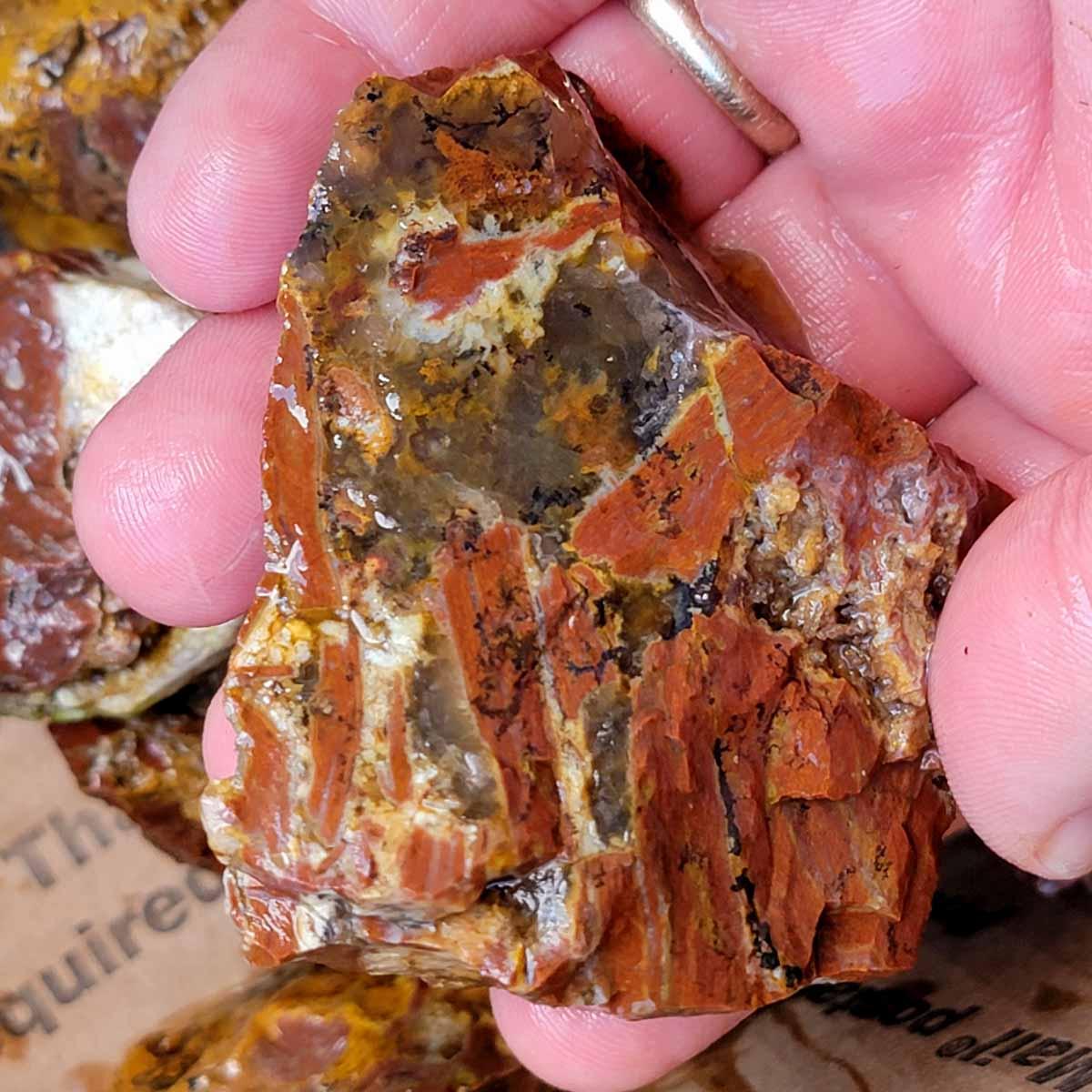Tumbling Trimmer Eagle Rock Plume Agate Rough Flatrate Box! - Lapidary Central
