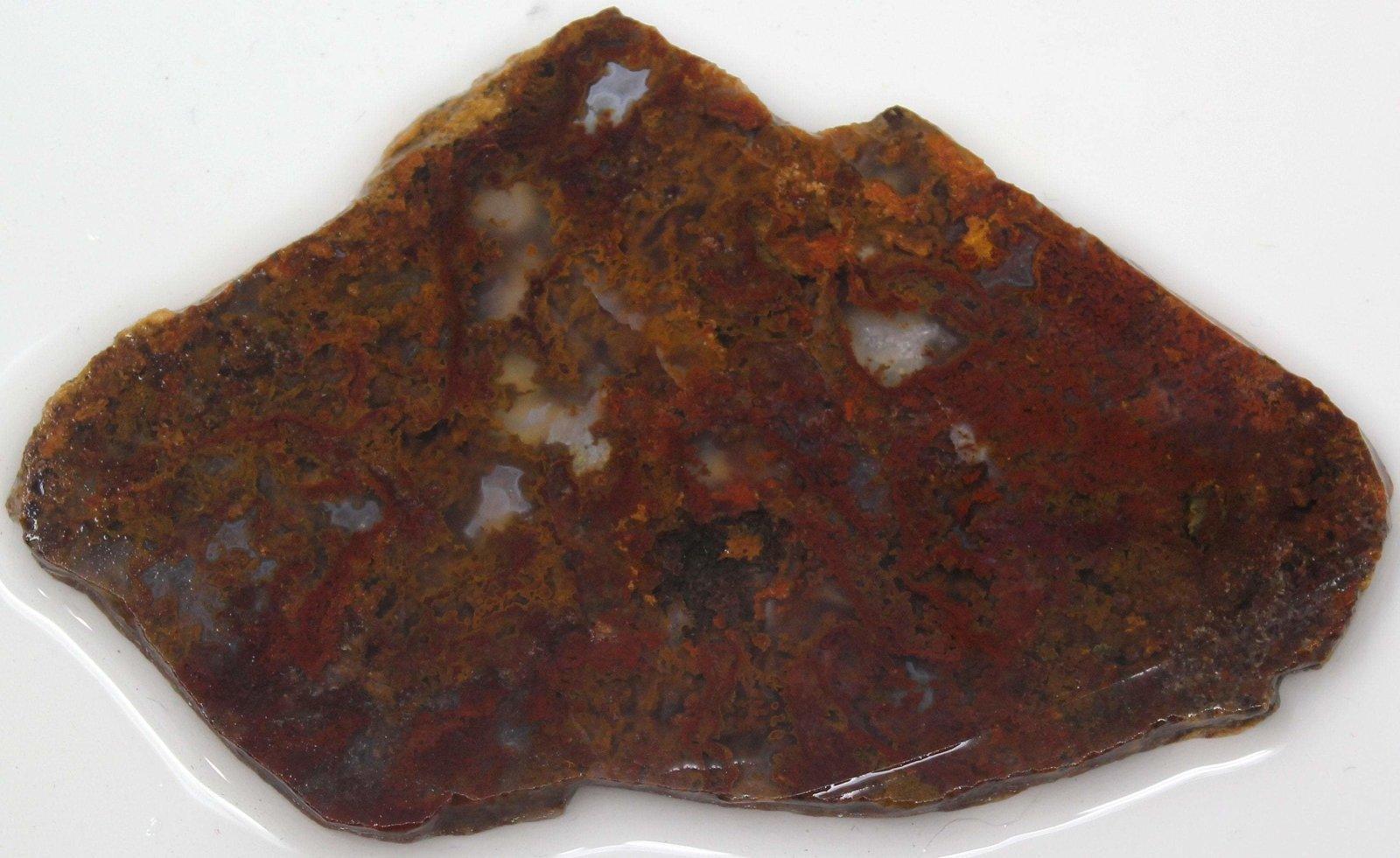 GORGEOUS Mystery Moss Agate Slab! High Grade Lapidary Slab! - LapidaryCentral