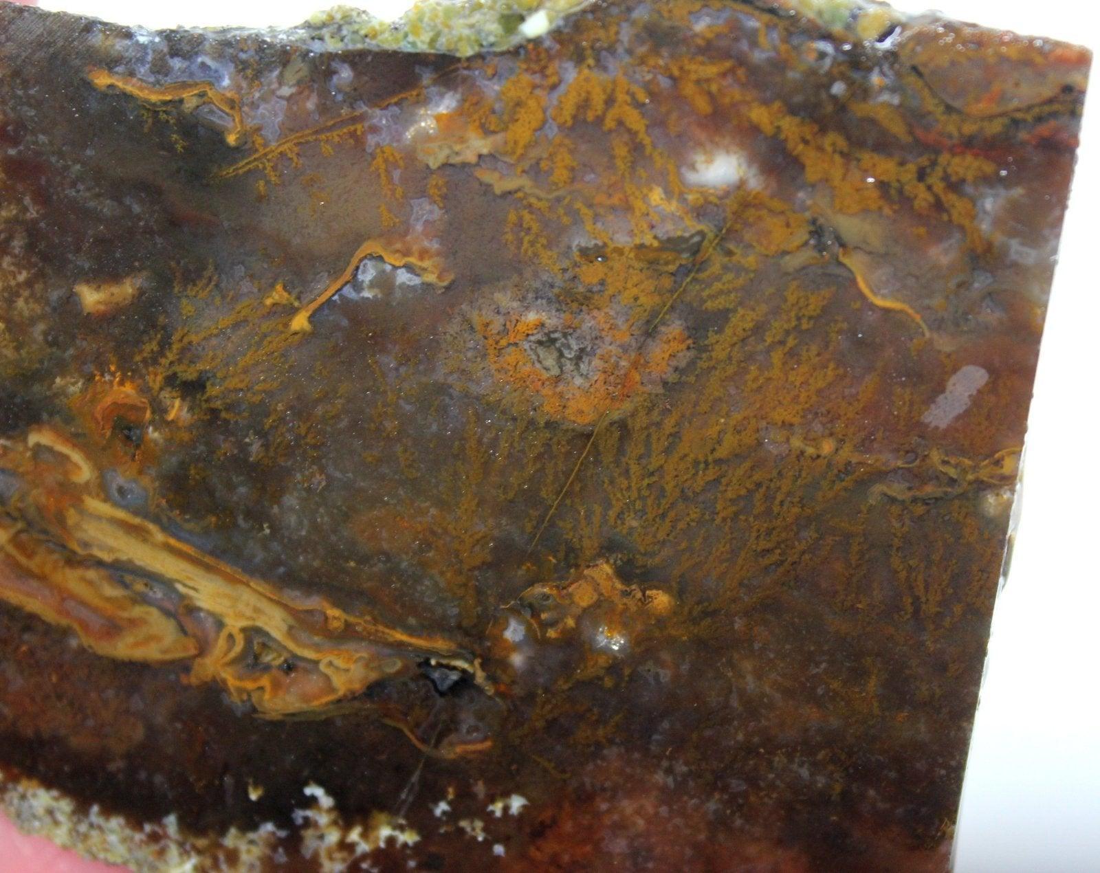 NEW MATERIAL! Oregon Plume Agate Slab! Lapidary Stone Slab! - LapidaryCentral