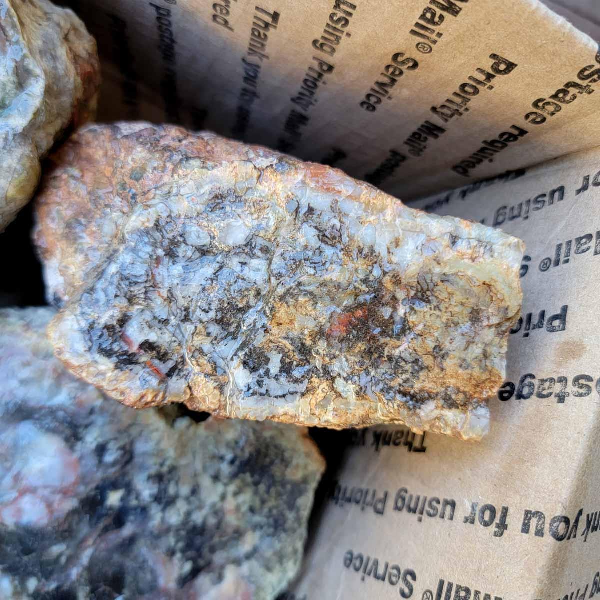 Coprolite Fossil Dino Dung Cutting Rough Flatrate! - Lapidary Central