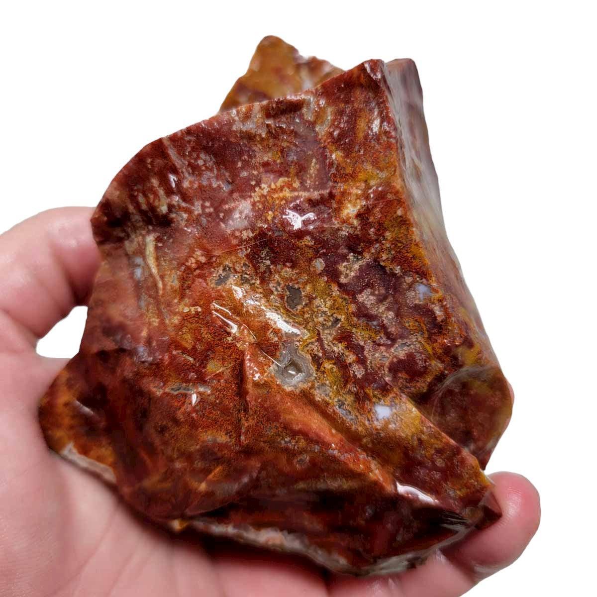 Agua Nueva Agate New Water Agate Rough Chunk! - LapidaryCentral