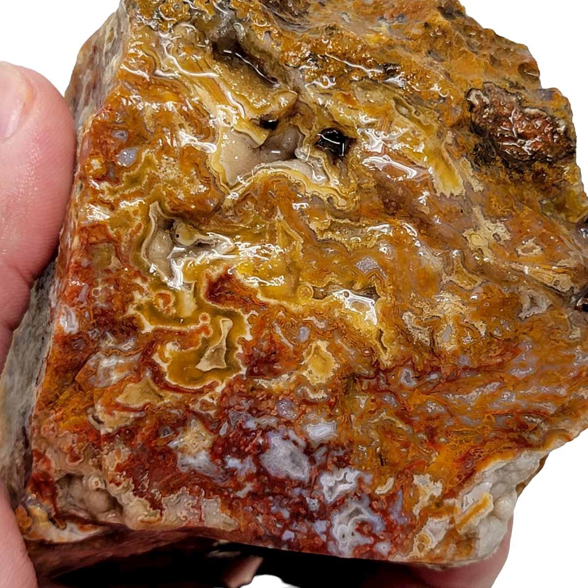 Agua Nueva Agate New Water Agate Rough Chunk! - LapidaryCentral