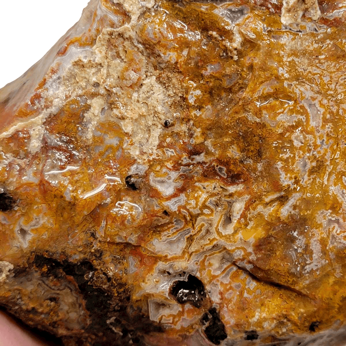 Agua Nueva Agate New Water Agate Rough Chunk! - LapidaryCentral