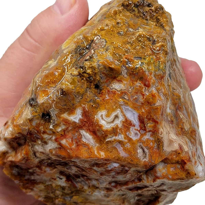Agua Nueva Agate New Water Agate Rough Chunk! - LapidaryCentral
