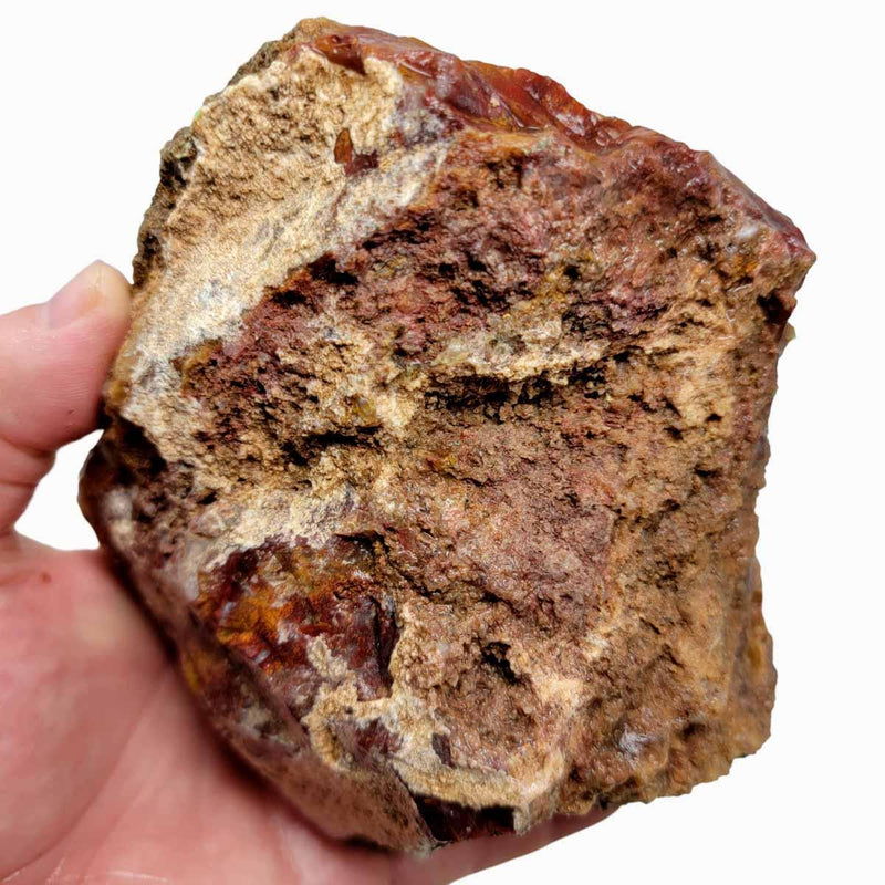 Agua Nueva Agate New Water Agate Rough Chunk! - LapidaryCentral