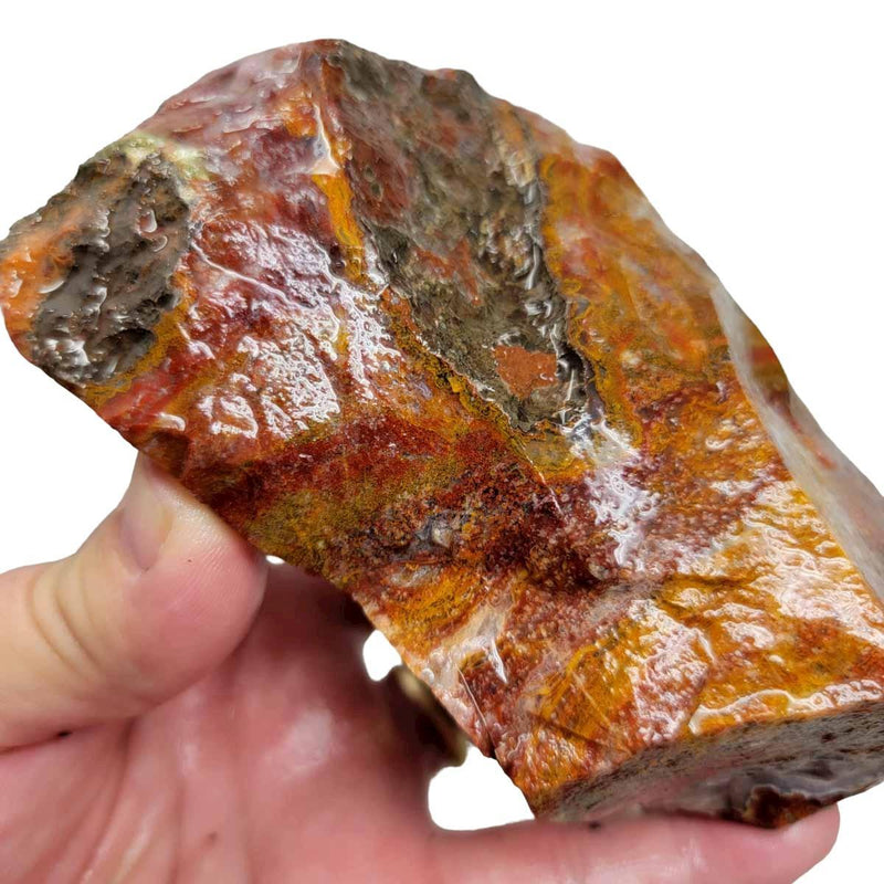 Agua Nueva Agate New Water Agate Rough Chunk! - LapidaryCentral
