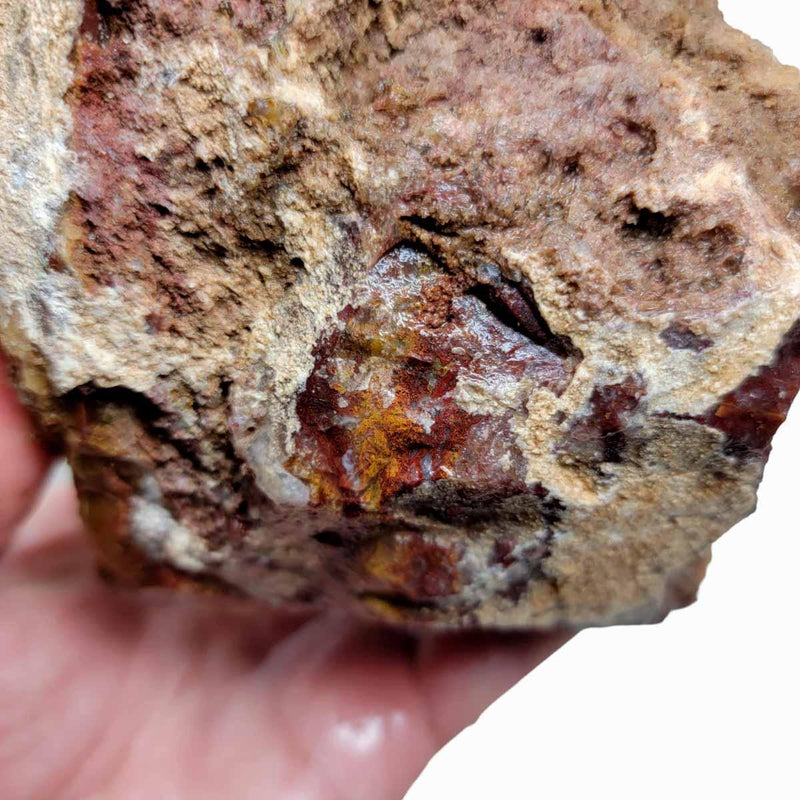 Agua Nueva Agate New Water Agate Rough Chunk! - LapidaryCentral