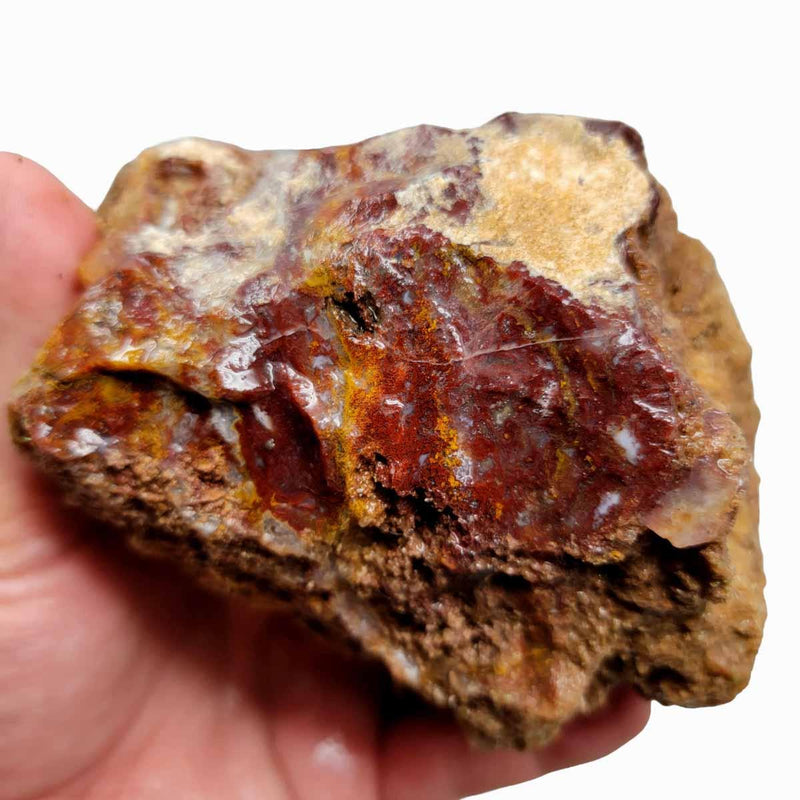 Agua Nueva Agate New Water Agate Rough Chunk! - LapidaryCentral