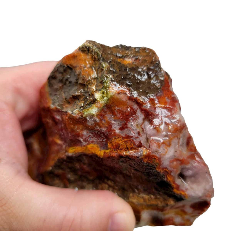 Agua Nueva Agate New Water Agate Rough Chunk! - LapidaryCentral