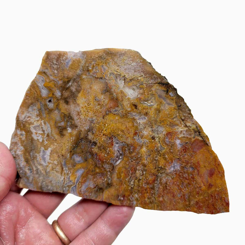 Agua Nueva Agate Slab!  Mexican Agate!  Lapidary Stone Slab! - LapidaryCentral