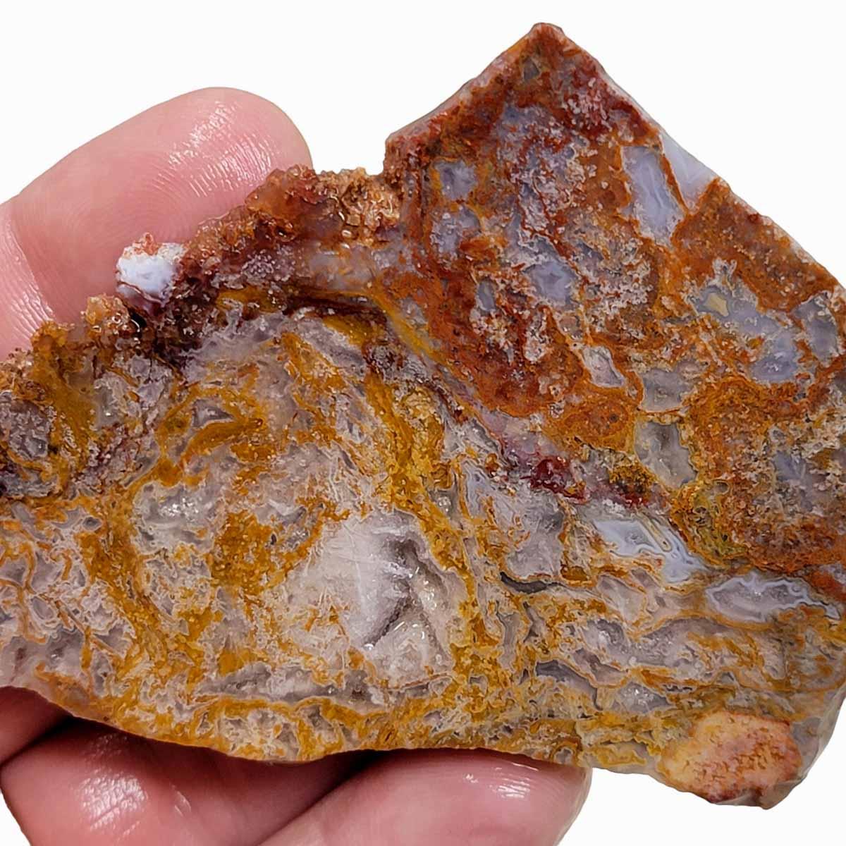 Agua Nueva Agate Slab! Mexican Agate! Lapidary Stone Slab! - Lapidary Central