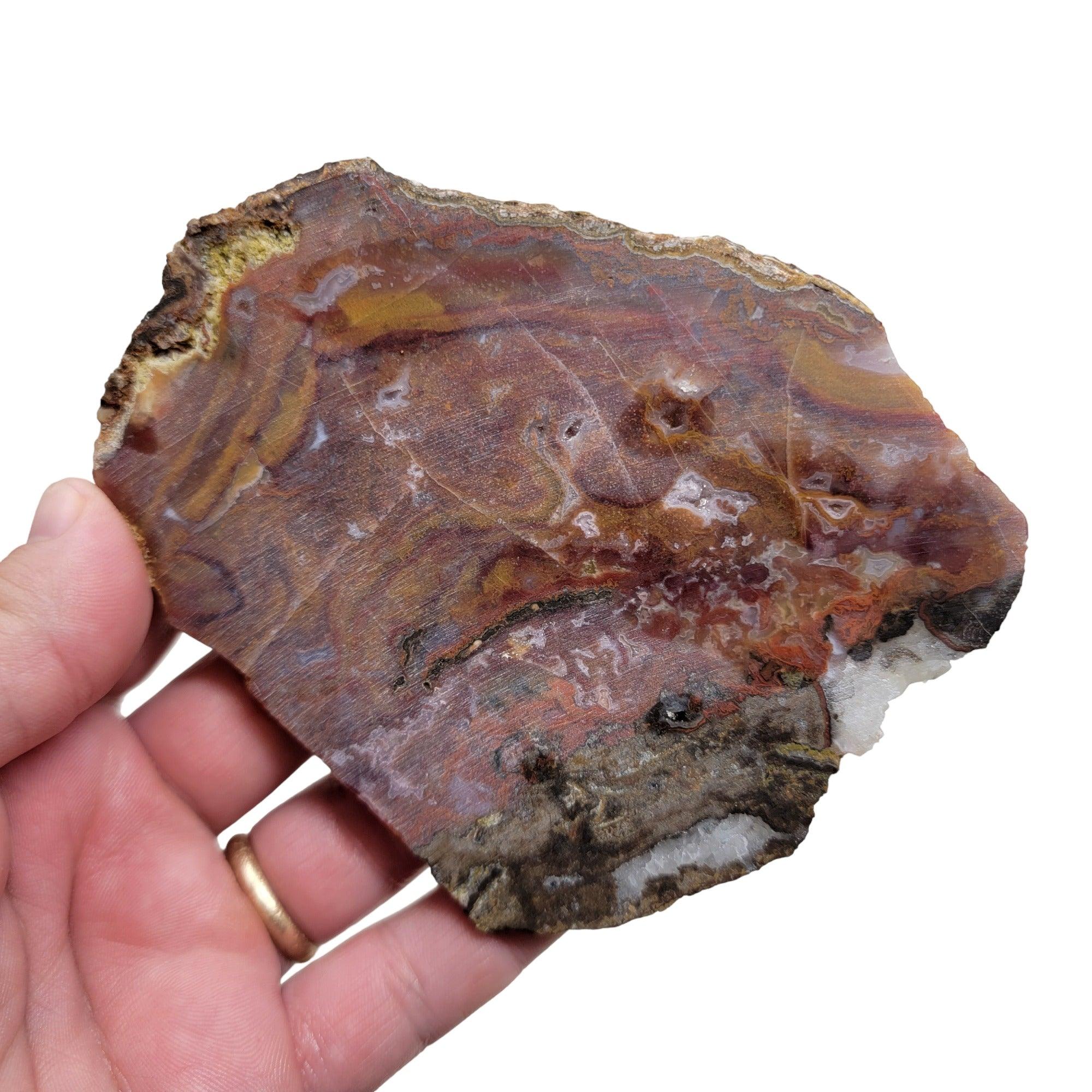 Agua Nueva Agate Slab! Mexican Agate! Lapidary Stone Slab! - Lapidary Central