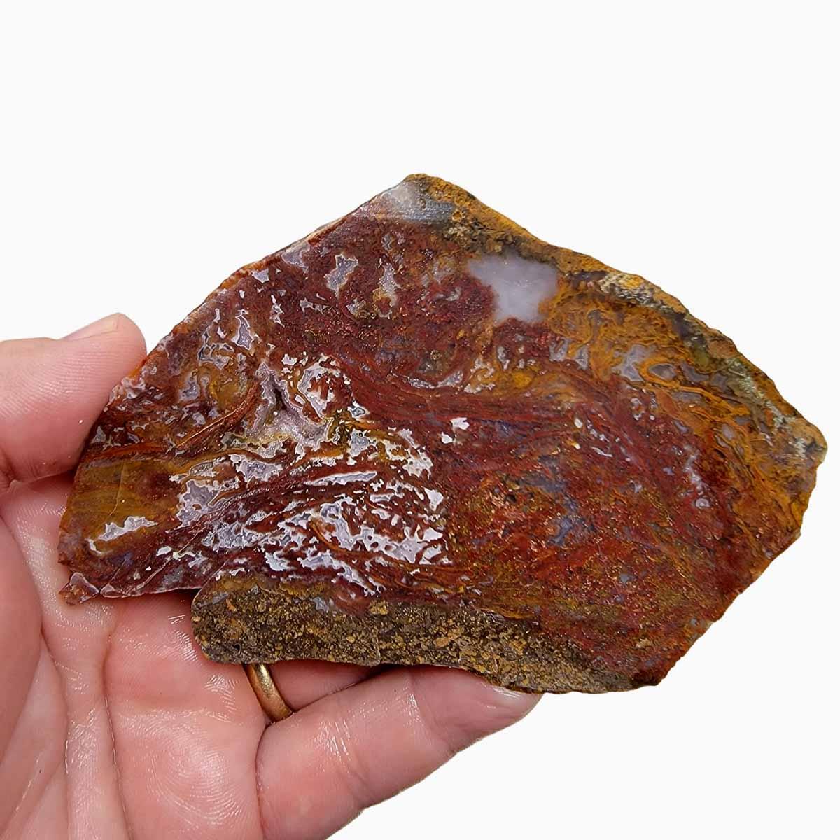 Agua Nueva Agate Slab! Mexican Agate! Lapidary Stone Slab! - Lapidary Central