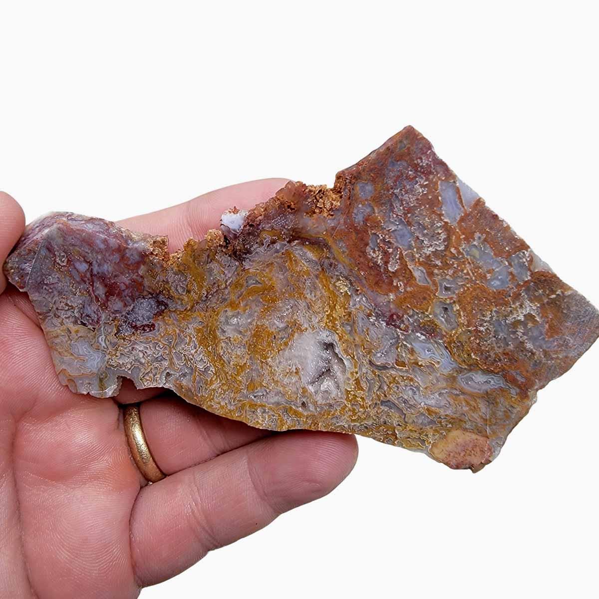 Agua Nueva Agate Slab! Mexican Agate! Lapidary Stone Slab! - Lapidary Central