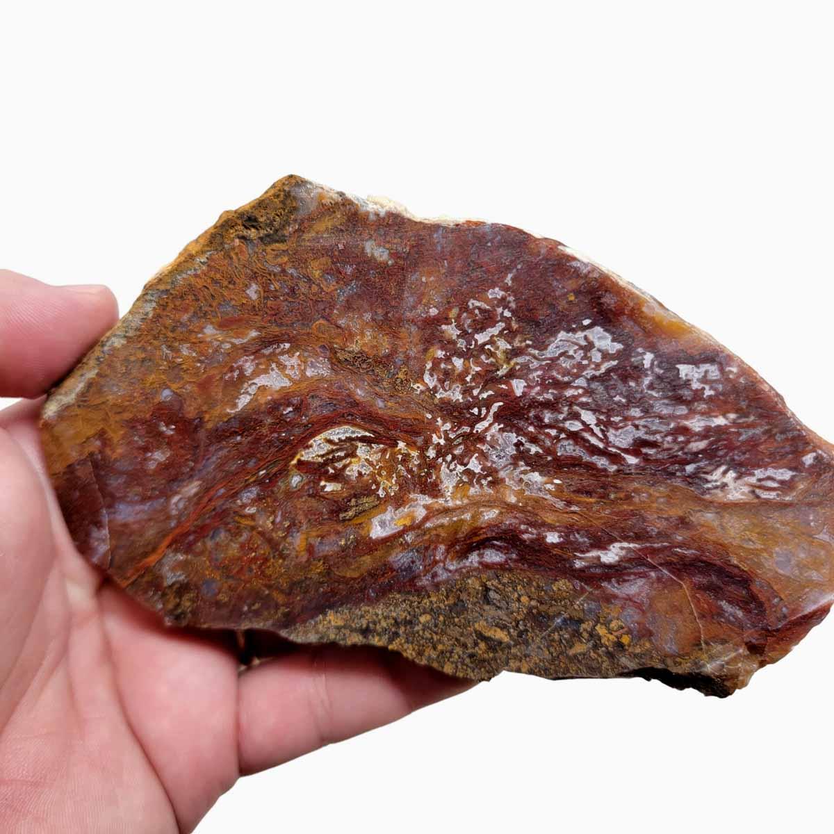 Agua Nueva Agate Slab!  Mexican Agate!  Lapidary Stone Slab! - LapidaryCentral