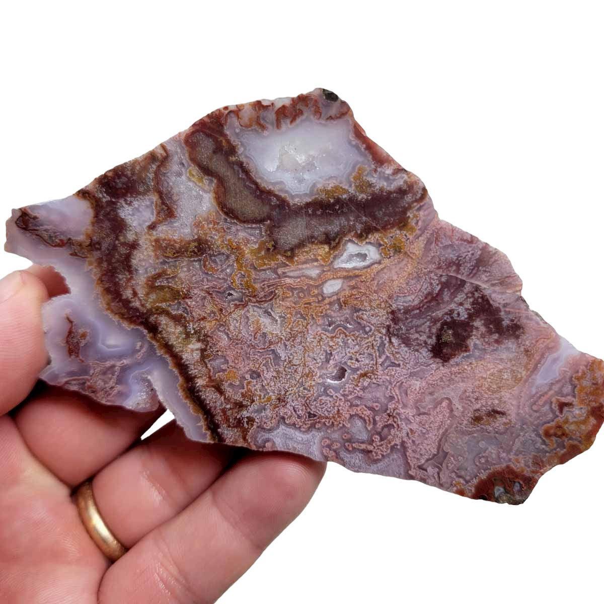 Agua Nueva Agate Slab!  Mexican Agate!  Lapidary Stone Slab! - LapidaryCentral