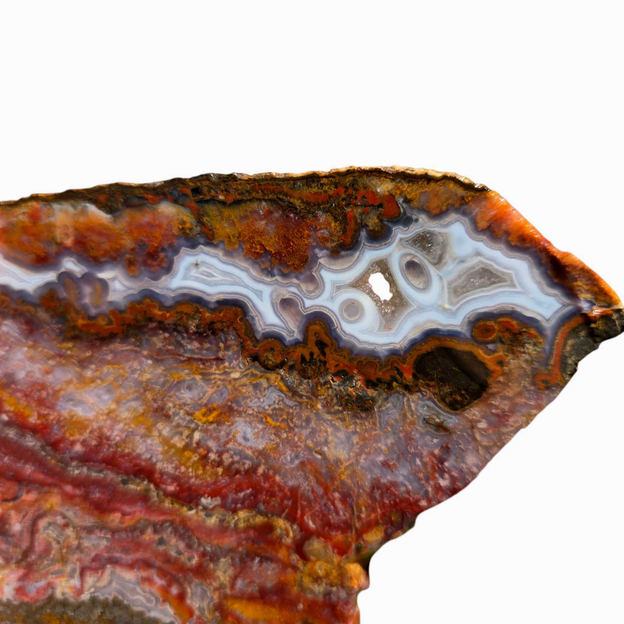 Agua Nueva Agate – Moss and Blue Fortification Patterns from Mexico