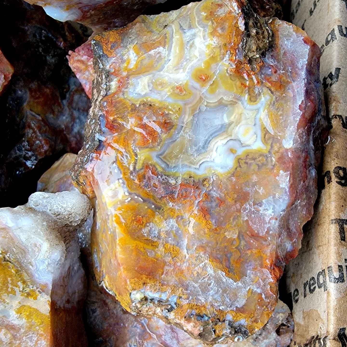 Mystery Moss Agate Possibly Agua Nueva Agate! - LapidaryCentral