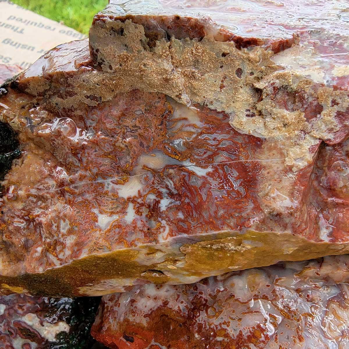 Overflowing Apple Valley Agate Cutting Rough Flatrate! - LapidaryCentral