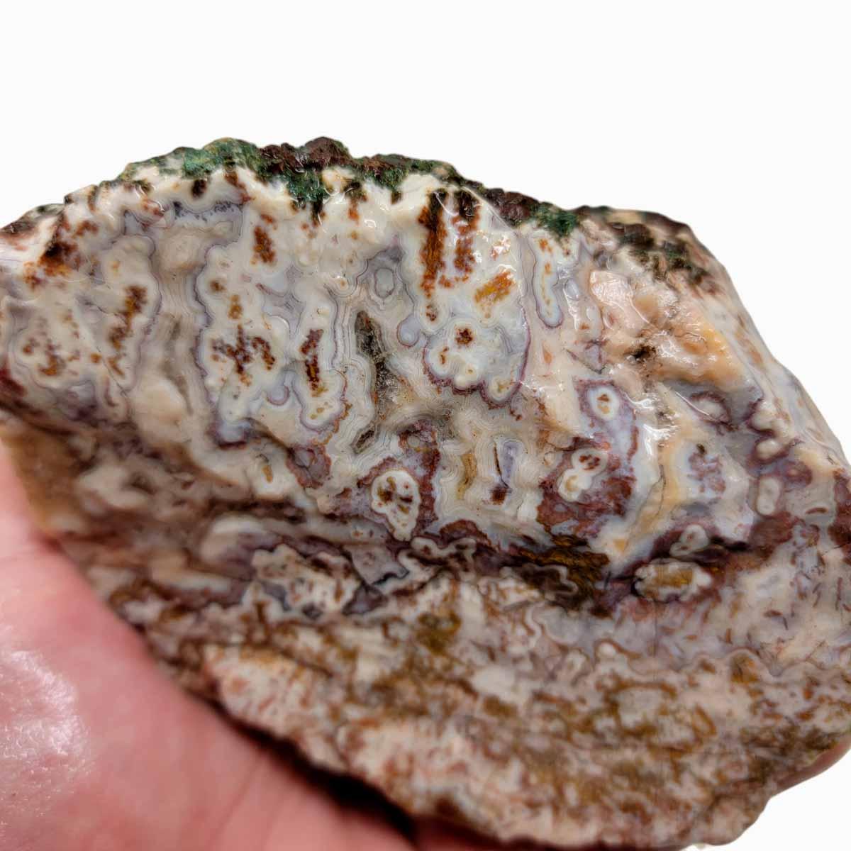 Apple Valley Agate Rough Chunk! - Lapidary Central