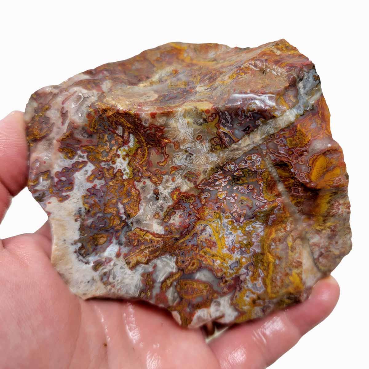 Apple Valley Agate Rough Chunk! - LapidaryCentral