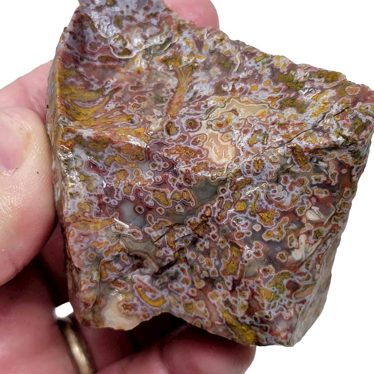 Apple Valley Agate Rough Chunk! - LapidaryCentral