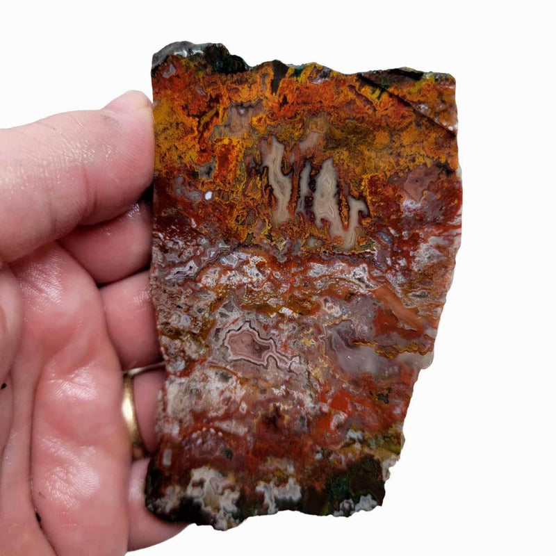 Apple Valley Moss Agate Slab!  Lapidary Stone Slab! - LapidaryCentral