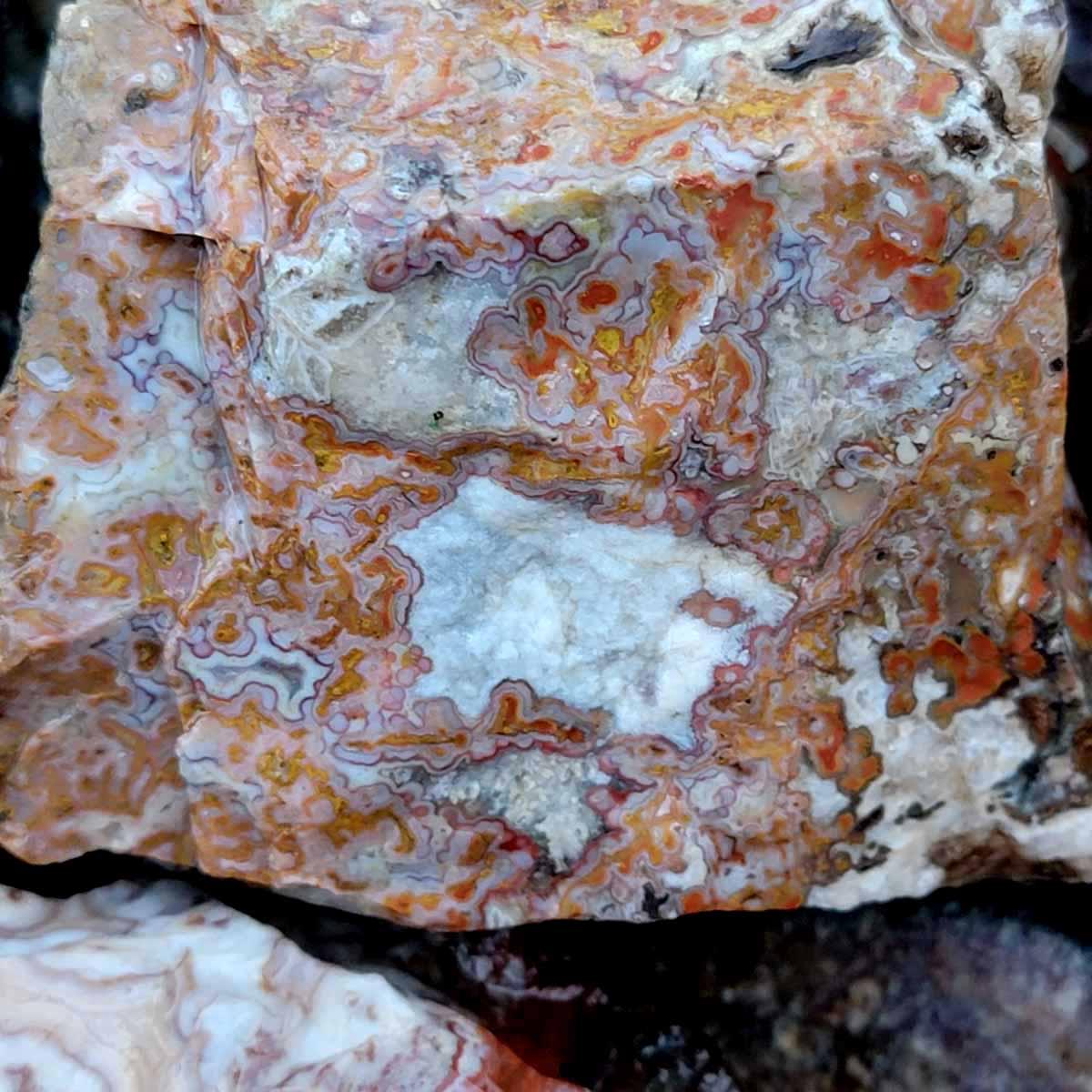 Apple Valley Agate Cutting Rough Flatrate! - Lapidary Central