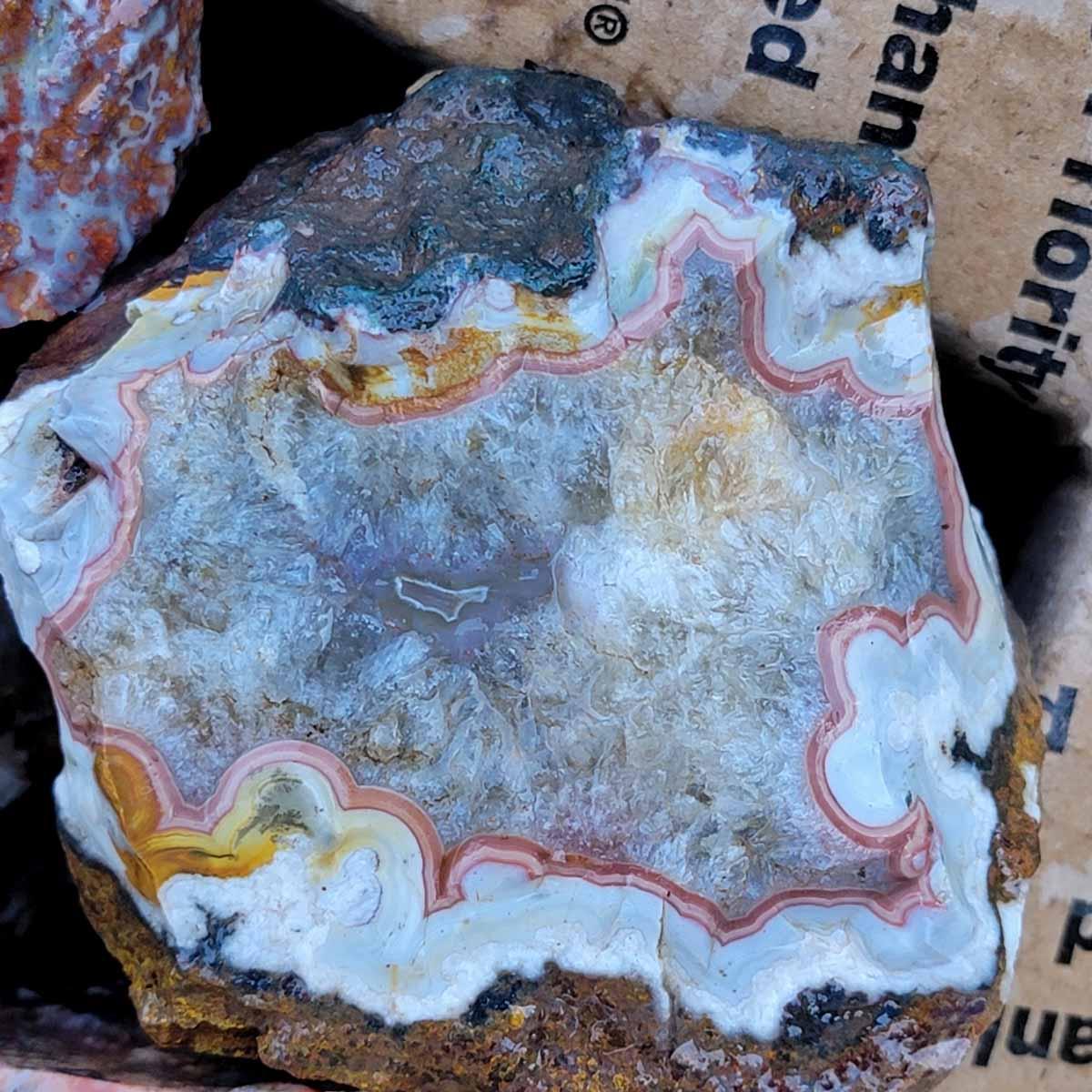 Apple Valley Agate Cutting Rough Flatrate! - Lapidary Central