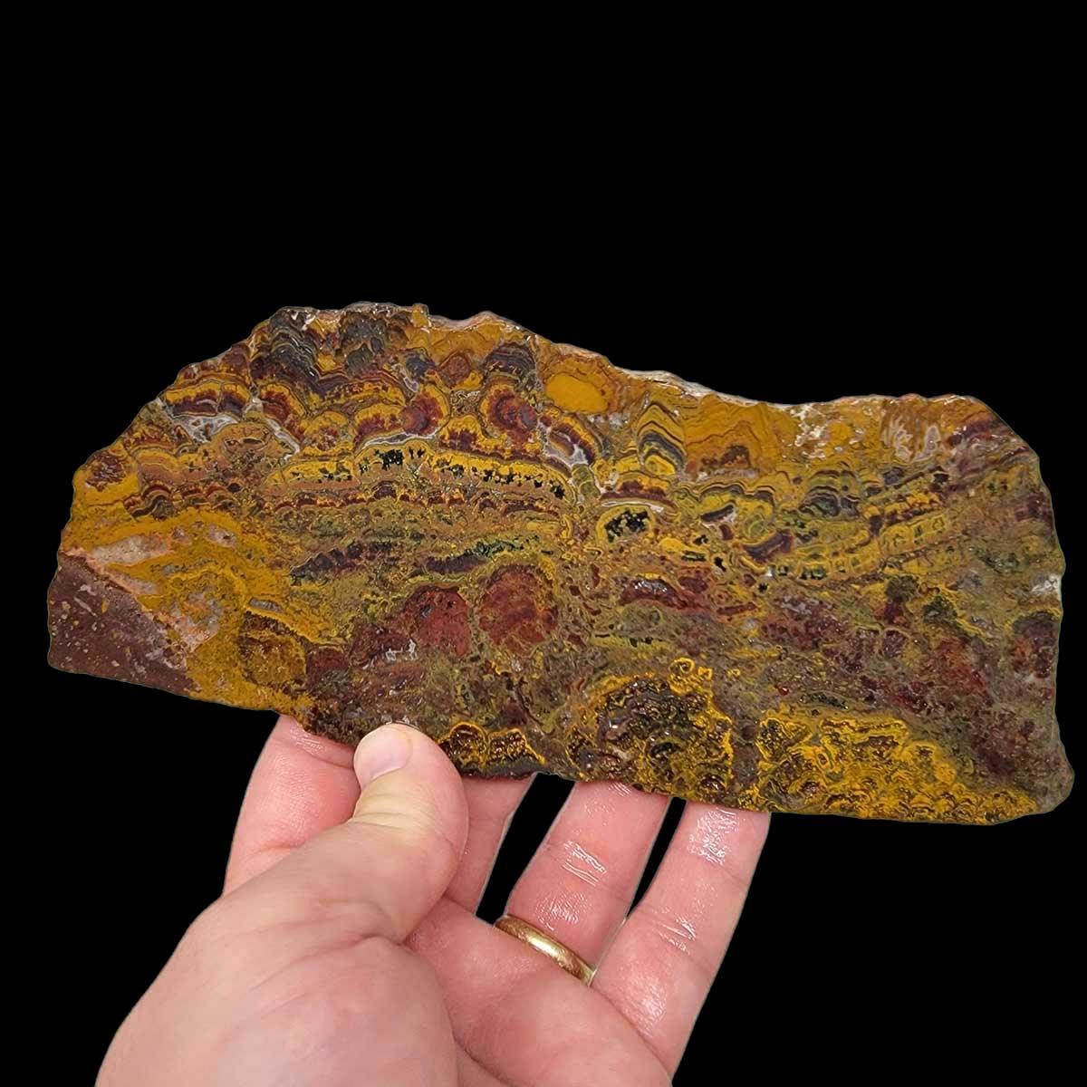 Apple Valley Jasper Slab!  Fossil Stromatolite!  Lapidary Slab! - LapidaryCentral