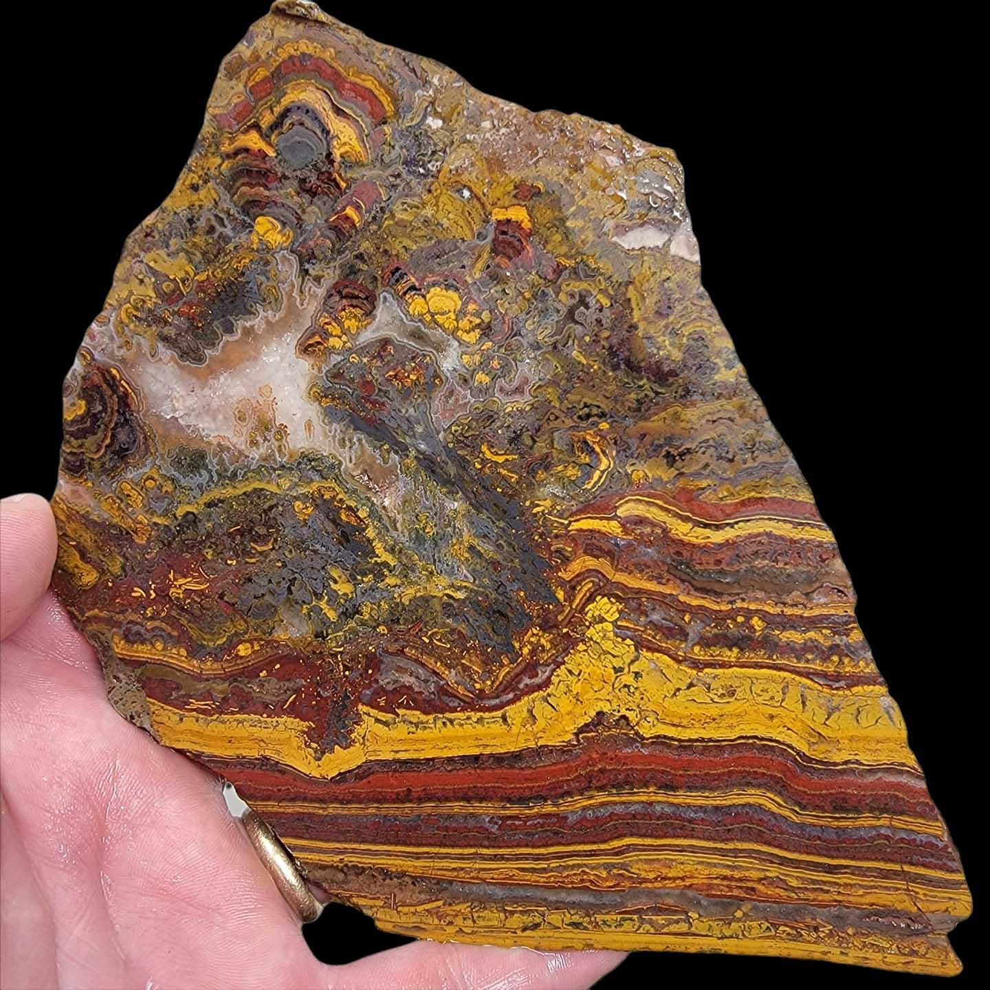 Apple Valley Jasper Slab!  Fossil Stromatolite!  Lapidary Slab! - LapidaryCentral