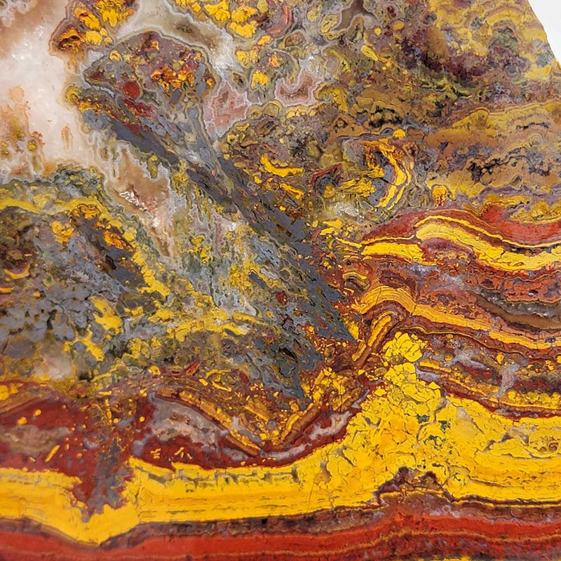 Apple Valley Jasper Slab!  Fossil Stromatolite!  Lapidary Slab! - LapidaryCentral