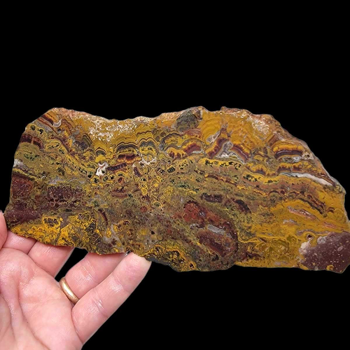 Apple Valley Jasper Slab!  Fossil Stromatolite!  Lapidary Slab! - LapidaryCentral