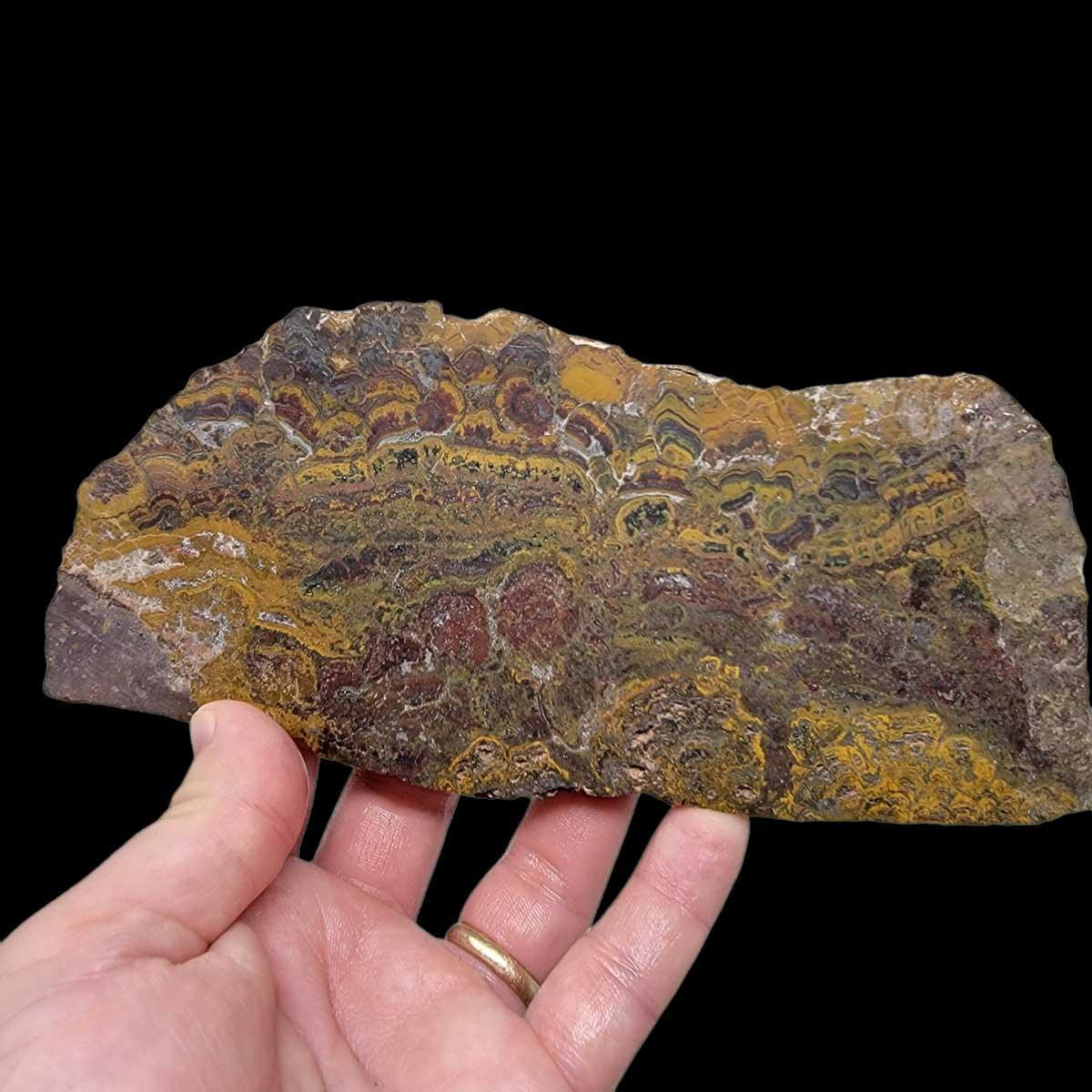 Apple Valley Jasper Slab!  Fossil Stromatolite!  Lapidary Slab! - LapidaryCentral