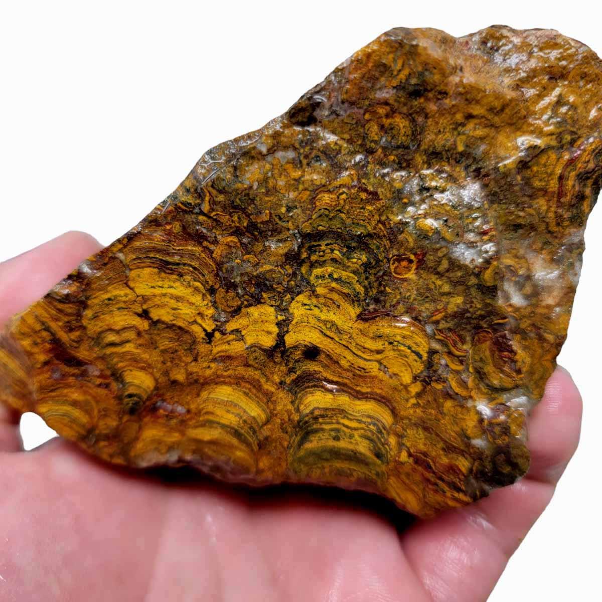 Apple Valley Jasper Rough Chunk! - LapidaryCentral