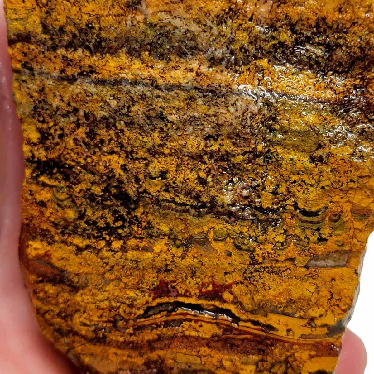 Apple Valley Jasper Rough Chunk! - LapidaryCentral